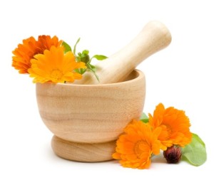 Calendula flowers, mortar and pestle isolated